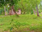 Mawathagama : 200P Land for Sale with 2BR House