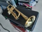 Maxtone Trumpet