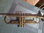 Maxtone Trumpet-Japan