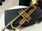 Maxtone Trumpet-Japan