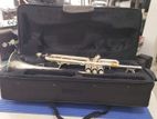 Maxtone Trumpet(Silver)-Japan