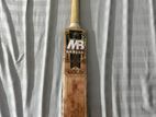 MB Malik Gold Platinum Edition Cricket Bat