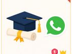 MBA Assignment Help | Dissertation Essay