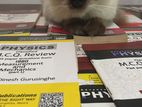 Mcq Reviews