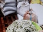 පොල් වගා මඩ ලුණු