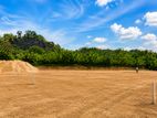 මේ ගොඩ ආටිගලපාරෙන් ටික ගෙවන්න ඉඩමක්