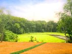 Meegoda - 6 Perch Paddy Field Facing Land Sale