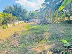 Meegoda Artigala Valuable Residential Land for Sale