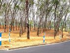 Meegoda Beruketiya Land For Sale