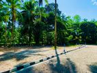 Meegoda -Coconut Land Plots