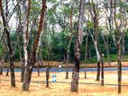 Meegoda Land for sale ( Near the thalagala Road)