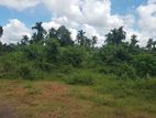 Meegoda Land for Sale (SSPL-257)