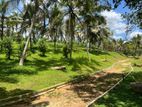 Meegoda Main Road Facing Land for Sale