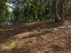 Meepawela Land for Sale