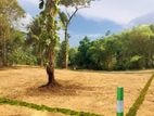 Meepe, Waga Exclusive Land Plots for Sale