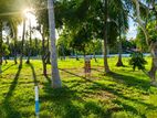 Mellawagedara Valuable Land Plots