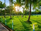 Mellawagedara Valuable Land Sale