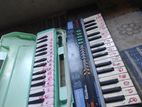 Melodica with Organ