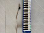 Melodica