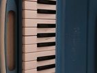 Melodica
