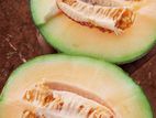 Cantaloupe Melon
