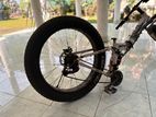 Folding Fat Bike