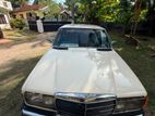 Mercedes Benz W123 1977