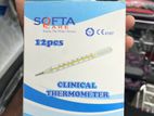 Mercury Thermometer