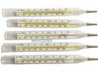 Mercury Thermometer