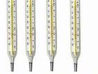 Mercury Thermometer