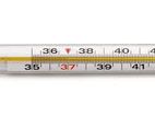 Mercury Thermometer