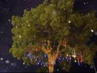 Solar Power LED Meteor Shower Rain Lights