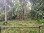 (MH410) 55 Perch Land For Sale in Bandaragama Horana