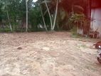 මහබාගේ , පේරලන්දෙන් ඉඩමක්