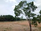 මහබුලංකුලම වැවට යාබදව සින්නක්කර බිම්කොටස් විකිණීමට