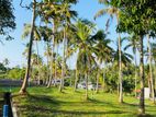 මහනගරසභා සිමාවෙන් ඉඩමක්