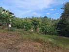 මහනුවර බලගොල්ලේ – පර්චස් 31 ක ඉඩම විකිණීමට