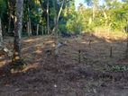 මහනුවර මුළු ඉඩම |10 perches plot in Kandy