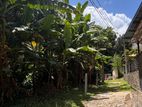 මහනුවර නගරයට 9km දුරින් පිහිටි පර්චස් 12.4 තැනිතලා ඉඩමක් විකිනීමට