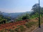 මහනුවර Primrose Hills හි පිහිටි අගනා පර්චස් 42ක සම්පූර්ණ ඉඩම