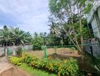 මහර හන්දියෙන් සුපිරිම වටිනා ඉඩමක් විකිණීමට