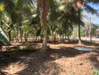 මහව නගරයට ආසන්නයේ පදිංචියට ඉඩමක්