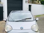 Micro Panda for Rent