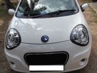 Micro Panda For Rent - Monthly