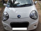 Micro Panda For Rent - Monthly