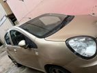 Micro Panda Wp Cas6596 2016