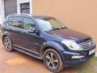 Micro Rexton 2015