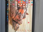Microsoft Surface Pro 12 2025