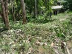 Middeniya Land for Sale