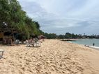 Midigama 58 Perch Prime Beachfront Land–Direct Ocean Frontage (220 Ft)